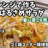 電子レンジで作るはるさめサラダ/分別用ゴミ箱に買い替え/今日の金魚「お腹すいてたのね」