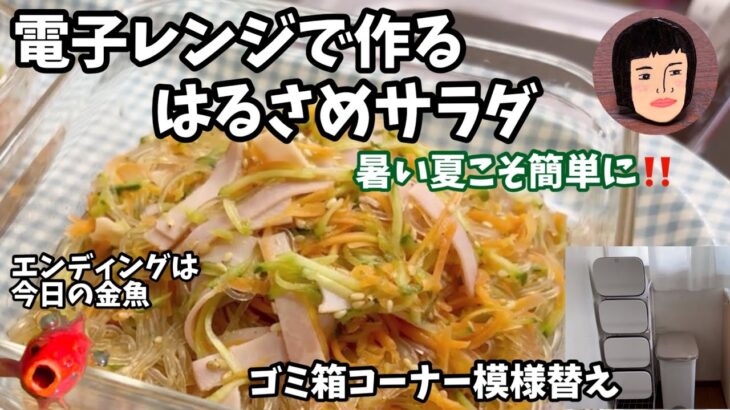 電子レンジで作るはるさめサラダ/分別用ゴミ箱に買い替え/今日の金魚「お腹すいてたのね」