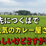 つくばで人気の南インドカレーのお店へ向かったけど途中でさすがに不安になった！【つくば】シュロ【くわちゃんねる】＃カレー＃インドカレー