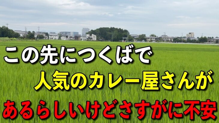 つくばで人気の南インドカレーのお店へ向かったけど途中でさすがに不安になった！【つくば】シュロ【くわちゃんねる】＃カレー＃インドカレー