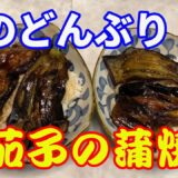 【茄子の蒲焼丼】夏はタレのかかった蒲焼丼が食べたくなりますね。食欲が落ちる夏には最適です。鰻だけでなく鶏や天丼など、タレのかかったどんぶりが最高です。今回はコストが最安な茄子の蒲焼丼です。