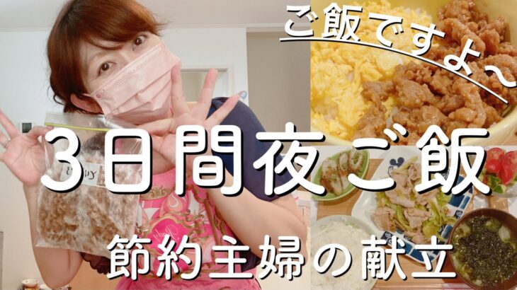 【夜ご飯献立】見切りの豚ひき肉、鶏ひき肉で節約献立/鶏そぼろ丼/ワンタンスープ/豚バラキャベツ/作り置きで日々の時短/節約主婦/時短/主婦vlog　料理vlog vol.35