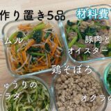 【1時間完成】材料費1000円！大学生の節約作り置き5品👩🏻‍🍳/一人暮らし大学生/栄養学生/料理