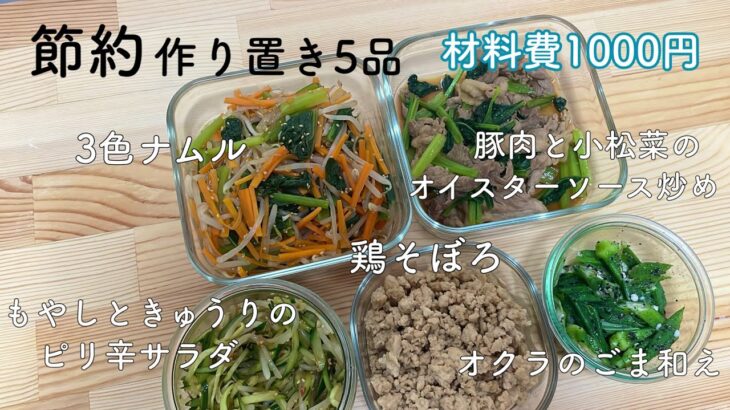 【1時間完成】材料費1000円！大学生の節約作り置き5品👩🏻‍🍳/一人暮らし大学生/栄養学生/料理