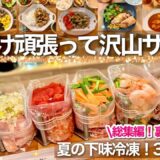 【作業用】夏の総集編39品の下味冷凍！時短も節約も叶う楽する冷凍おかず！