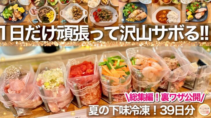 【作業用】夏の総集編39品の下味冷凍！時短も節約も叶う楽する冷凍おかず！