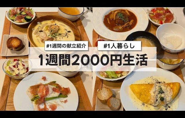 【料理Vlog】【1週間2000円生活】〜1人暮らしOLの30分で作る1週間の自炊記録〜