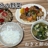 野菜がとれる🥕鶏肉の甘酢あんかけ定食🥢/一人暮らし大学生/栄養学生/料理/献立