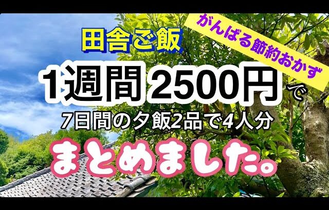 【1週間2500円4人分2品の節約夕飯レシピまとめ】だってお金無いんだもん！全部で14品！食費月2万以下で特売品！値引き！活用！がんばろう