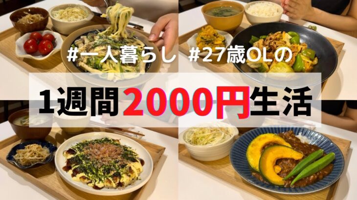 【物価高でも節約できるレシピ】食費月1万円の1人暮らしごはん/夏野菜カレー/レバニラ炒め/回鍋肉/クリームパスタ/お好み焼き/チンジャオロース/オクラむね肉