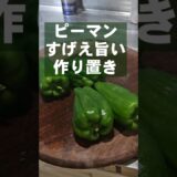 ピーマンの簡単ですげええぇぇ旨い食い方！かんたん作り置き おつまみ おかず 常備菜 副菜レシピ