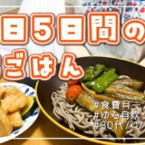 【食事記録】離婚して一人暮らし┊おつとめ品で作る夏野菜いっぱいメニュー🍆🍅🫑┊食費月1万円代┊平日5日間の晩ごはん👩‍🍳🍽️┊30代バツイチ女の日常