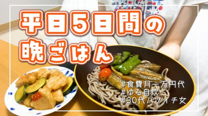 【食事記録】離婚して一人暮らし┊おつとめ品で作る夏野菜いっぱいメニュー🍆🍅🫑┊食費月1万円代┊平日5日間の晩ごはん👩‍🍳🍽️┊30代バツイチ女の日常