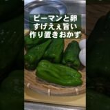 ピーマンと卵ですげえぇ旨すぎる！簡単作り置きおかず 副菜 中華炒め レシピ #short