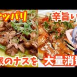 電子レンジで簡単！家のご飯が無くなる【焼きツナと茄子のお浸し】【ナスのピリ辛肉味噌田楽】