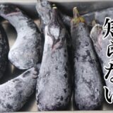 なすは冷凍してください。長期保存に調理時間短縮！なにこれメチャクチャ便利！茄子の保存