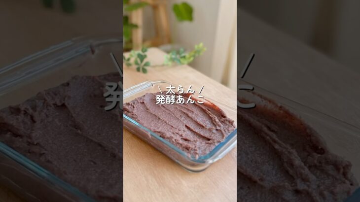 【インスタで180万再生】麹を使って砂糖なしで作れる発酵あんこ（炊飯器調理）　#ダイエット #ダイエットレシピ #shorts