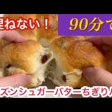 捏ねない❤️時短‼︎ 翌日もふんわり💓レーズンシュガーバターちぎりパン【元パン屋が作る】