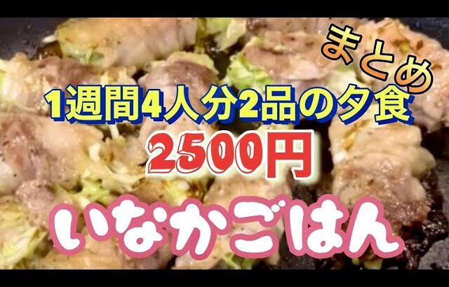 田舎ご飯！【7日間夕食2品で2500円】節約レシピで家族のため色々やってみた（おいしいおかず14品）