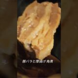 3/節約夜ご飯、厚揚げと豚バラ 角煮