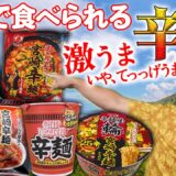 宮崎の〆と言ったらコレ！宮崎辛麺 食べ比べ！！！【ご当地麺】