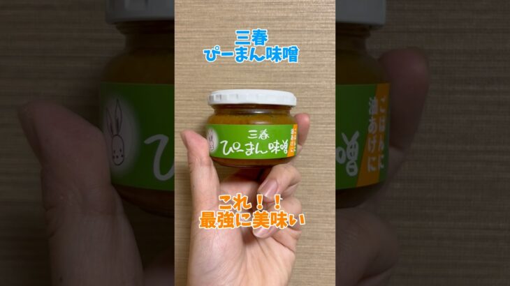 【美味すぎる】最強のぴーまん味噌。これ料理に合いすぎる【アレンジレシピ／時短料理／時短レシピ／最強調味料】