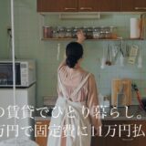 【低収入でも暮らしを愉しむ】食費を減らすヒントと新しい節約料理。自家製鶏ミンチのそぼろ丼。｜暮らしのvlog