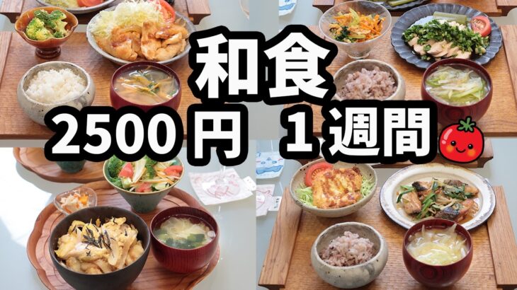 【普通の和食 1週間献立】おかず2500円の5日間夜ご飯献立(2024年8月)2人暮らし 節約レシピ(559)