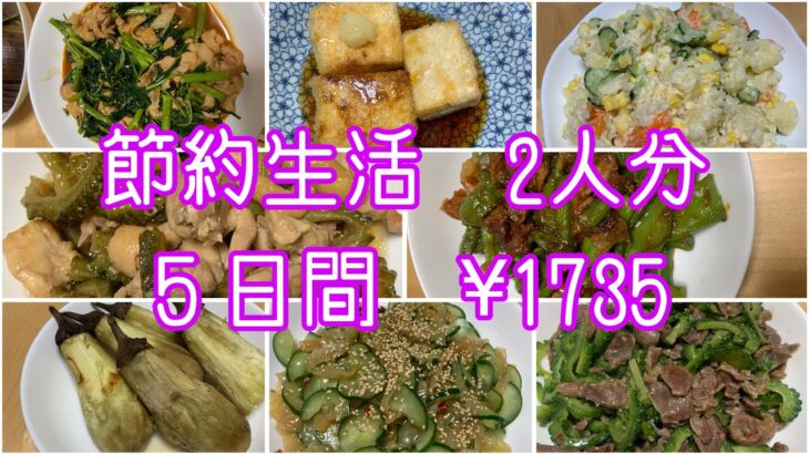 【節約生活】アラ還夫婦2人分✖️５日間#アラ還 #ダイエット中の食事 #なんちゃって料理 #野菜たっぷり #ずぼら飯 #家庭菜園 #時短レシピ #節約レシピ #簡単レシピ #自給自足