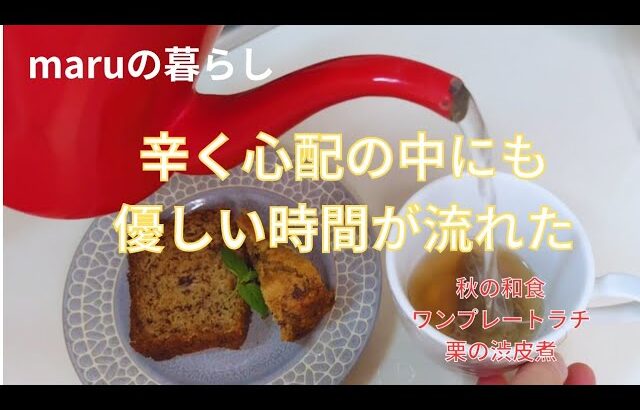 【シニアの暮らし】秋の和食/ワンプレートランチ/栗の渋皮煮/バジルソース作り/おやつ作り