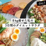 5ヶ月で8kg落とした私の3日間のダイエットサラダ🥗【作り置き】1時間だけ頑張って楽するレシピ