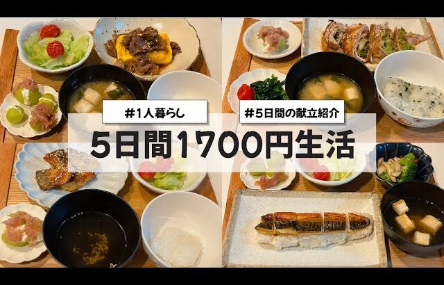 【料理Vlog】【5日間1700円生活】〜1人暮らしOLの30分で作る5日間の自炊記録〜 焼き鯖寿司/レタスの豚バラ巻き/鯖の照り焼き/牛だし卵/牛丼