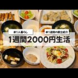 【料理Vlog】【1週間2000円生活】〜1人暮らしOLの30分で作る1週間の自炊記録〜  タコライス/ささみのあおさチーズ巻き/エリンギの肉巻き/小籠包/お好み焼き