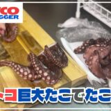 コストコに売ってる巨大な刺身用タコでたこ焼き作ってみた！！