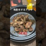 焼くだけおつまみ #ホットプレート #宅飲み料理 #cooking #簡単レシピ #料理