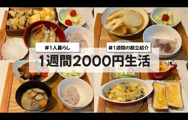 【料理Vlog】【1週間2000円生活】〜1人暮らしOLの30分で作る1週間の自炊記録〜 おでん/ジャガイモのグラタン/天ぷら/麻婆茄子/唐揚げ