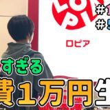 【生活費公開】ロピアのみ！節約一家が「食費１万円で何日暮らせるのか」を検証した結果　｜　節約生活/５人家族/食費見直し/貯金/節約レシピ