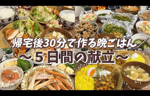 【保存必見】５日間3000円で作る晩ごはん◎節約|時短|簡単|レシピ