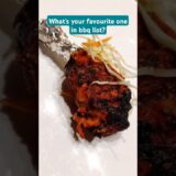 What’s your favourite one#shortsfeed #bbq #food #bbqlovers #bbqchicken #recipe #outing #party#food