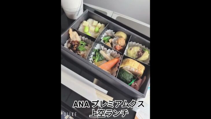 上空ランチ　#ANA #プレミアムクラス　#ランチ　#グルメ　#出張　#一人旅 　#飛行機 　#shorts