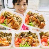 【平日５日分  冷凍弁当】【ほろほろ炊込み鶏飯　カオマンガイ風】炊飯器でほったらかし！鶏もも肉で柔らかジューシー＆節約！生姜とネギで体ぽかぽかメニュー♪