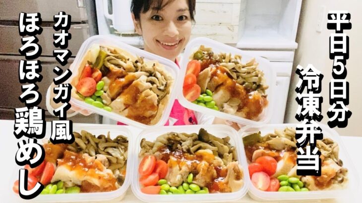 【平日５日分  冷凍弁当】【ほろほろ炊込み鶏飯　カオマンガイ風】炊飯器でほったらかし！鶏もも肉で柔らかジューシー＆節約！生姜とネギで体ぽかぽかメニュー♪