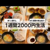 【料理Vlog】【1週間2000円生活】〜1人暮らしOLの30分で作る1週間の自炊記録〜 とんかつ/回鍋肉/野菜炒め/パプリカの肉詰め/海老と大葉の春巻き