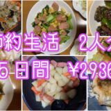 【節約生活】アラ還夫婦2人分✖️５日間#アラ還 #ダイエット中の食事 #なんちゃって料理 #野菜たっぷり #ずぼら飯 #家庭菜園 #時短レシピ #節約レシピ #簡単レシピ #自給自足