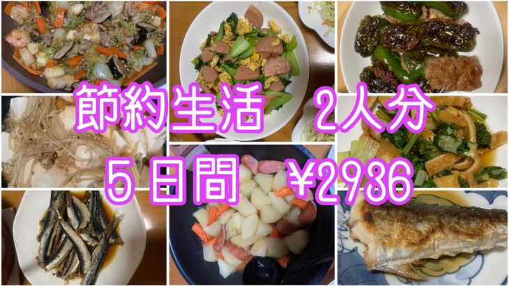 【節約生活】アラ還夫婦2人分✖️５日間#アラ還 #ダイエット中の食事 #なんちゃって料理 #野菜たっぷり #ずぼら飯 #家庭菜園 #時短レシピ #節約レシピ #簡単レシピ #自給自足