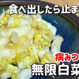 食べ出したら止まらない！無限白菜漬け/白菜だけで簡単病みつき副菜/#漬物 Chinese cabbage side dish