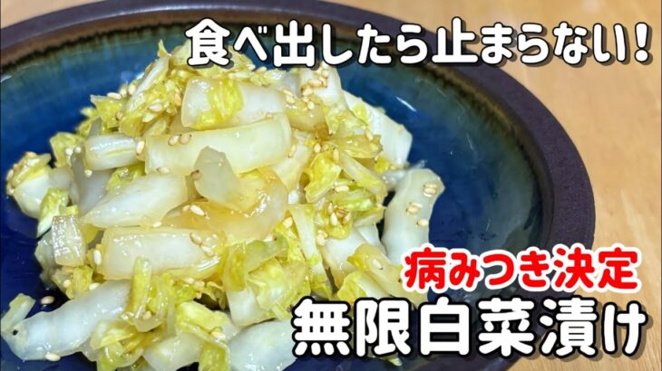 食べ出したら止まらない！無限白菜漬け/白菜だけで簡単病みつき副菜/#漬物 Chinese cabbage side dish