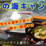 【バツイチ40代一人暮らしすずの日常】冬の海キャンプ！強風吹き荒れる海岸で暖か鶏団子汁