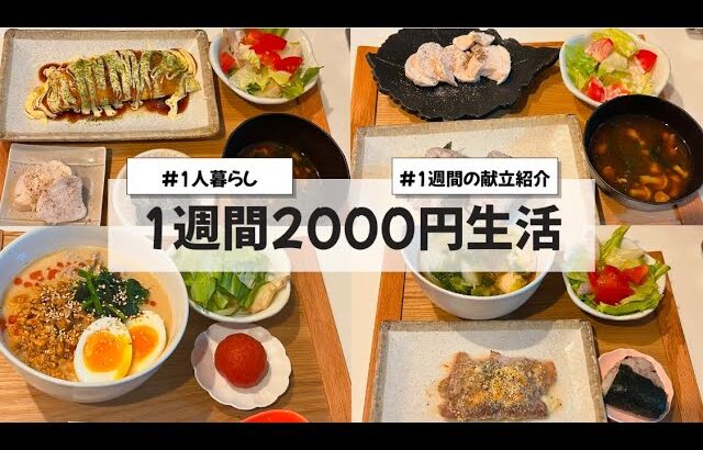 【料理Vlog】【1週間2000円生活】〜1人暮らしOLの30分で作る1週間の自炊記録〜 担々麺/鶏ハム/とんぺい焼き/ヤンニョムチキン