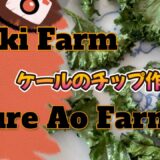 簡単ケールチップの作り方　Niki Farm＆Kure Aofarm　2024/12/4,5,7